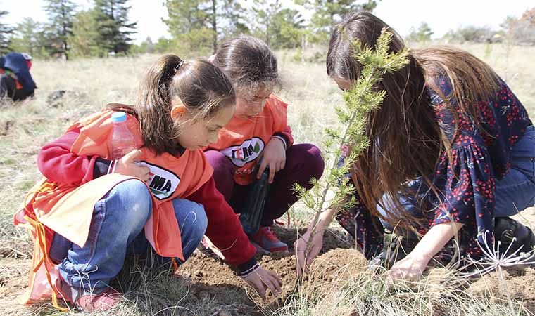 Genç TEMA Topluluğu'ndan "Orman Haftası" Etkinliği